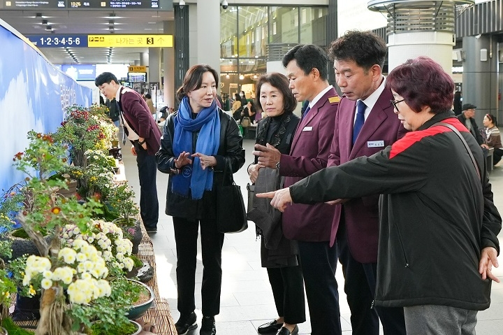 SRT 기장들이 국화분재 동호회 활동을 통해 직접 가꾼 다양한 품종의 대형·소형 국화 분재 40여점을 선보인다.(사진=SR)