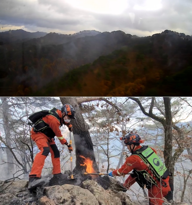 (사진제공=산림청)