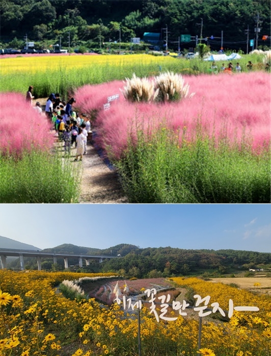 (사진제공=부산 기장군)