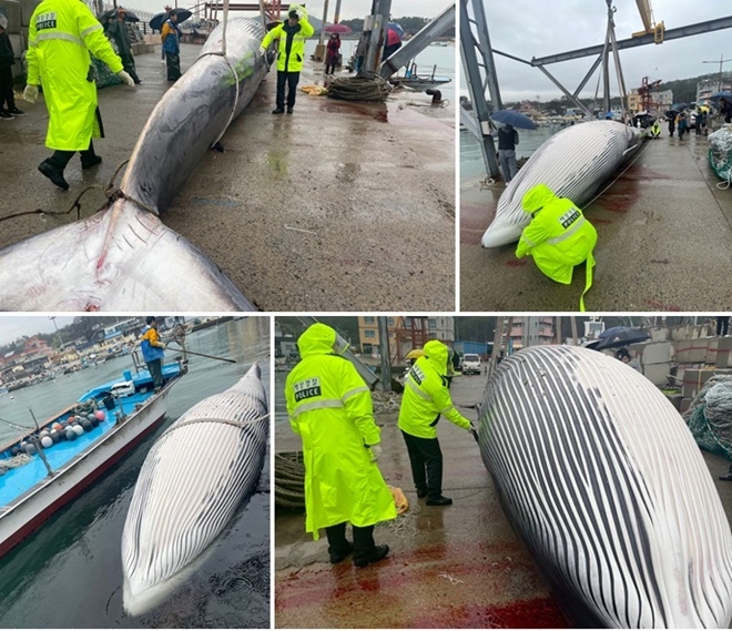 (사진제공=울산해양경찰서)