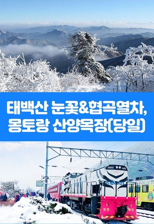 (제공=코레일 부산경남본부)