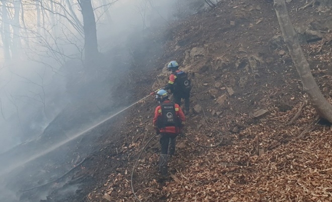 (사진제공=산림청)