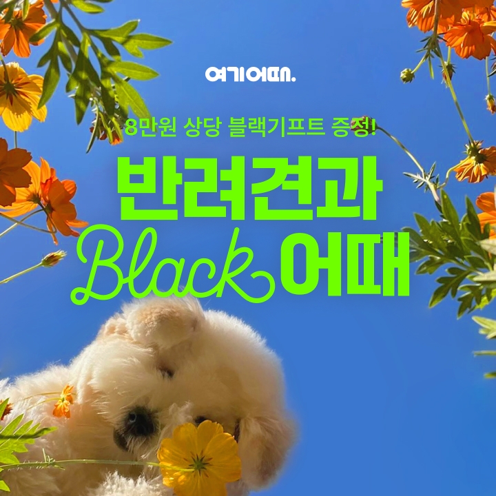 여기어때 블랙, ‘블랙 기프트 패키지’ 선보여