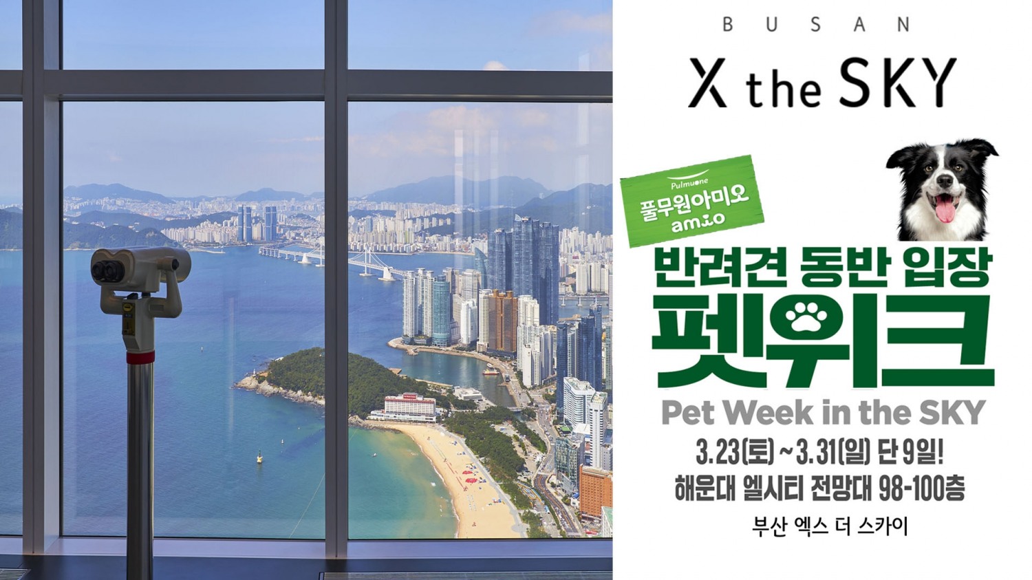 풀무원푸드앤컬처 부산엑스더스카이-풀무원아미오 브랜드, 컬래버 이벤트 진행