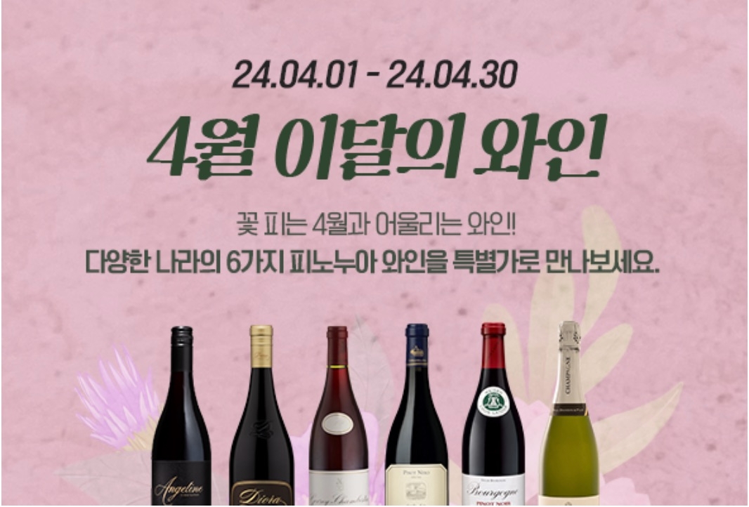 와인나라, ‘이달의 와인’, ’매장별 시음회’ 진행