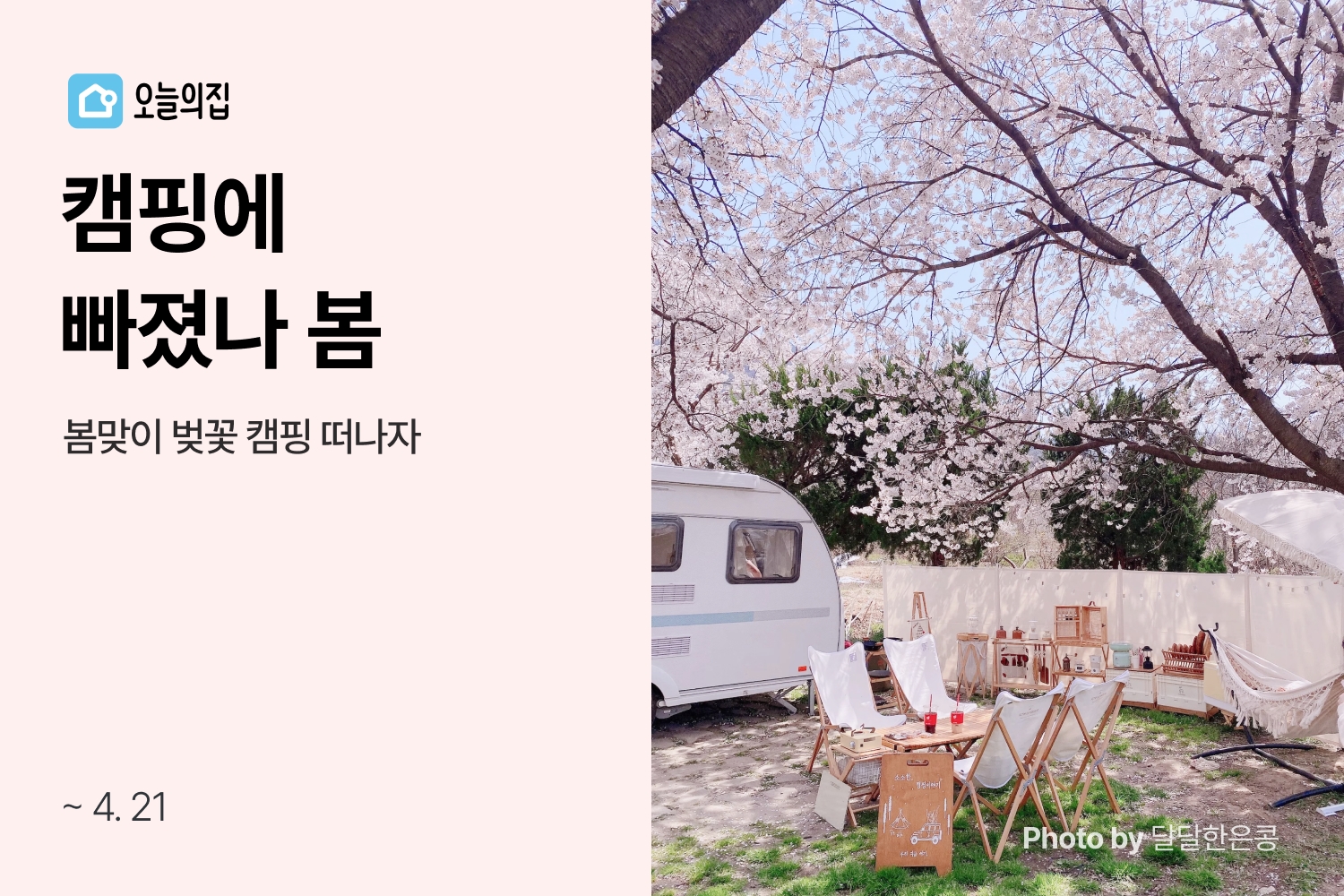 오늘의집, 캠핑&피크닉용품 특가전 진행