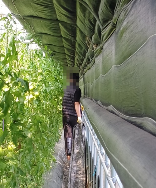 (사진제공=부산서부준법지원센터)