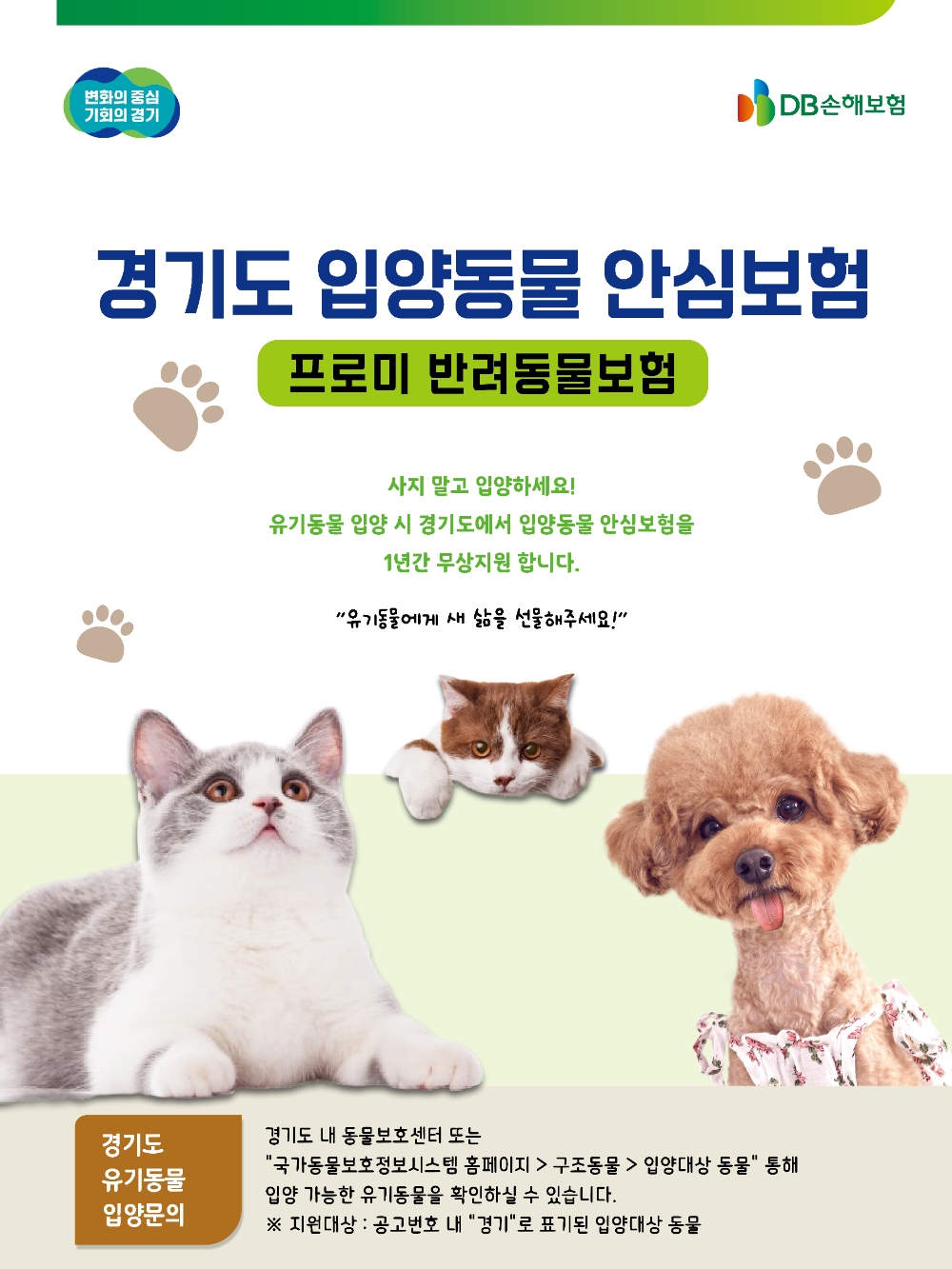 DB손해보험, 경기도 무한돌봄 입양동물 안심보험 시행