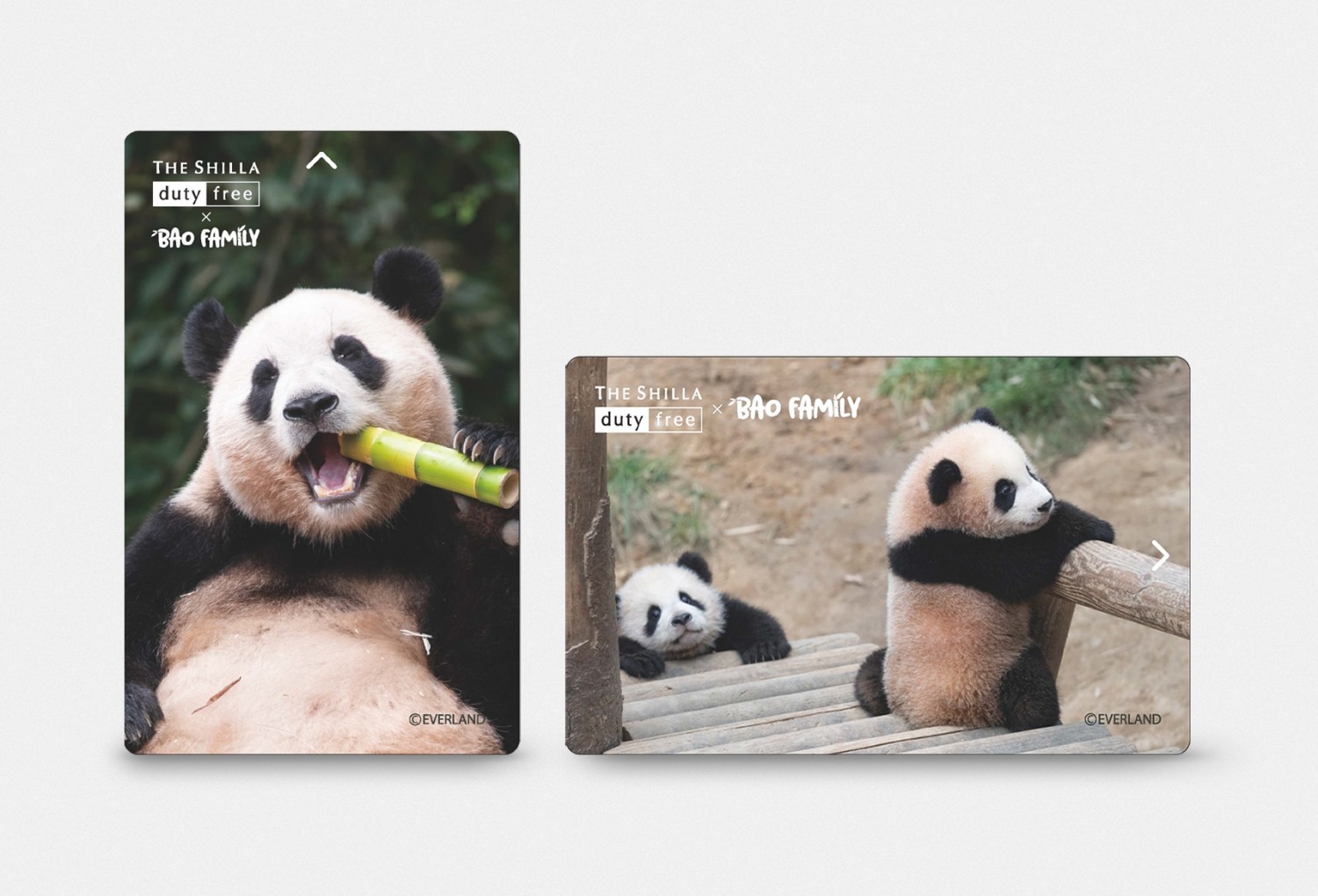 신라면세점, ‘바오패밀리’ 선불카드 출시