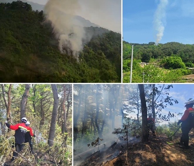 (사진제공=산림청)