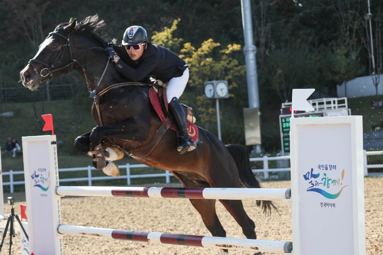 한국마사회, 제1회 퇴역경주마 승마대회 신청 접수
