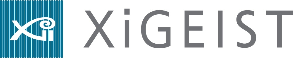 자이가이스트 CI.(사진=자이가이스트)