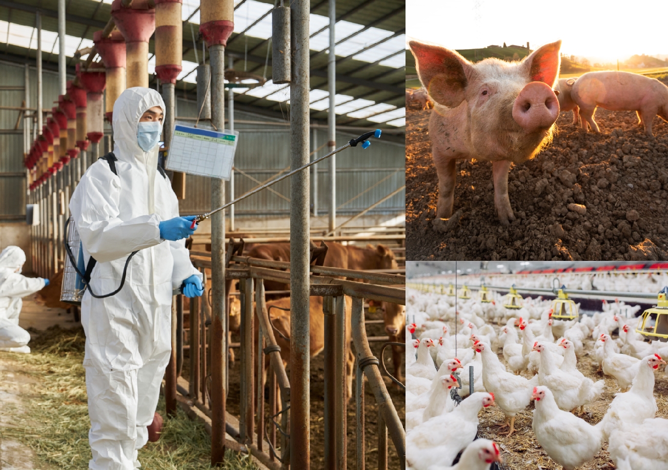 지더블유바이텍, 국제 판권 취득 동물용 바이러스 세정제 베트남 수출