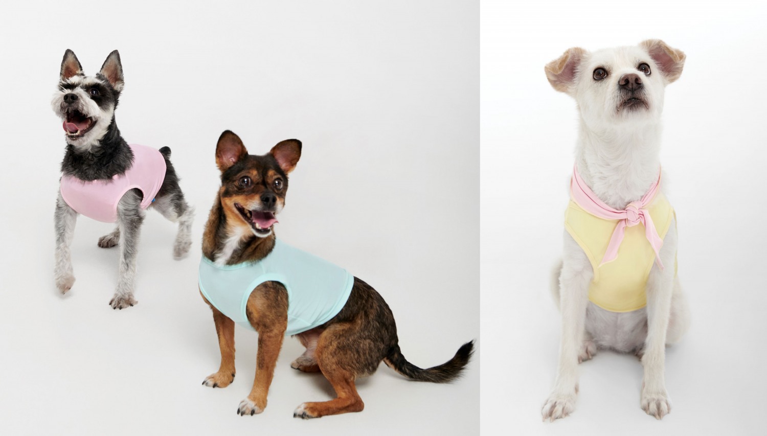 BYC, 개리야스 여름 신제품 공식 판매 돌입