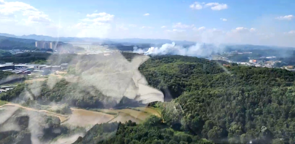 (사진제공=산림청)