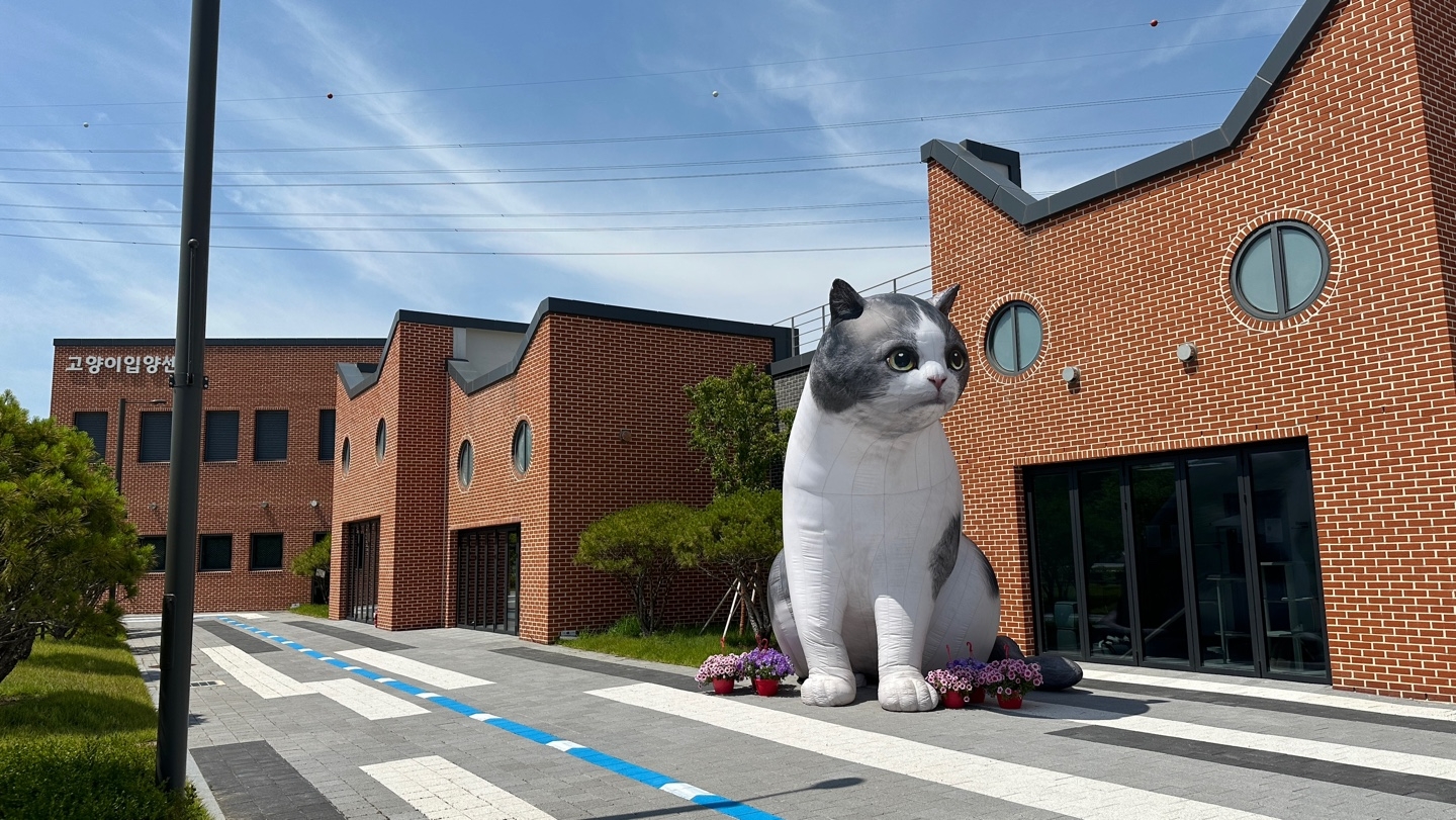 고양이 입양센터 전경