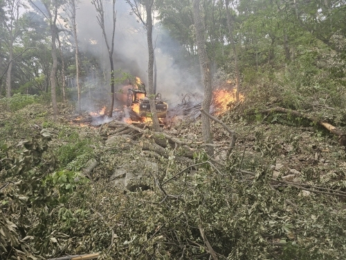 (사진제공=산림청)
