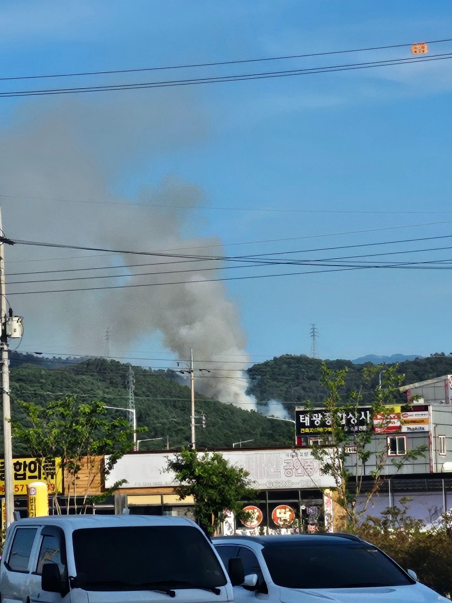 (사진제공=산림청)