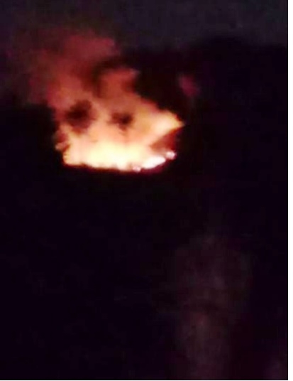 (사진제공=산림청)