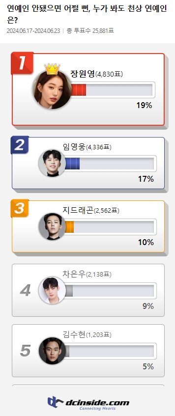 (제공=디시인사이드)