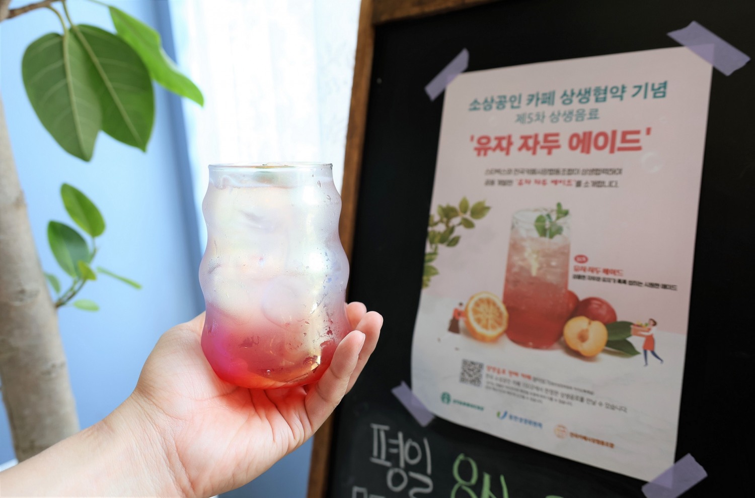 스타벅스, ‘유자 자두 에이드’ 1차 공급물량 판매 시작