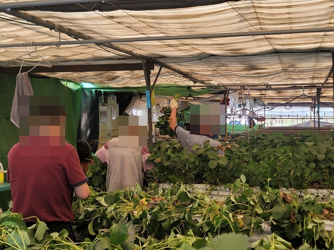 (사진제공=부천보호관찰소)