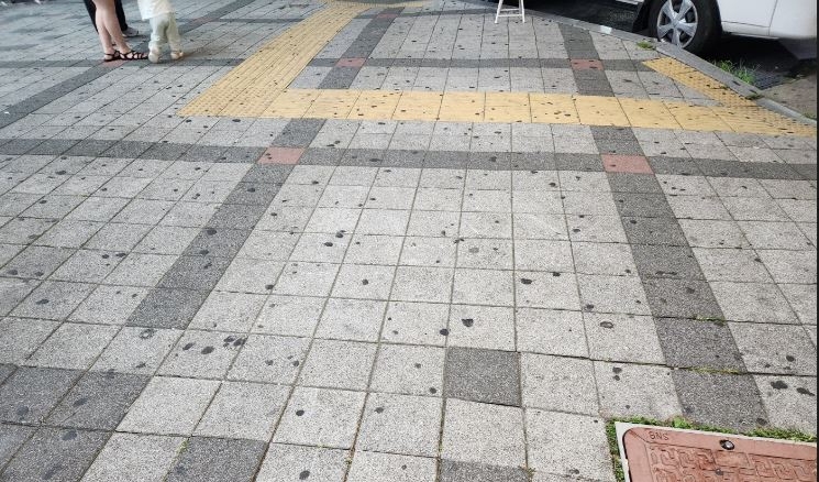껌딱지로 도배된 보도블럭