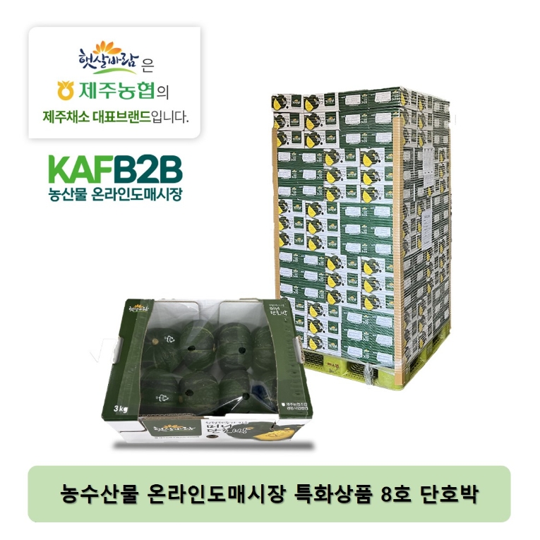 농수산물 온라인도매시장, ‘제주 단호박’ 특화상품 선보여