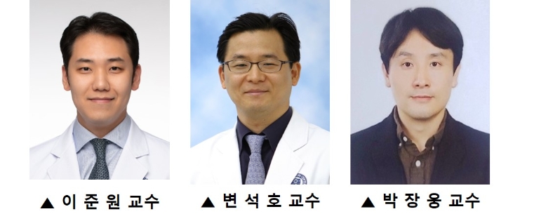 세브란스 연구팀, ‘인공 미니 망막’ 통해 망막 기능 분석 성공