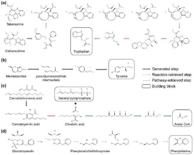 리드레트로(READRetro)를 활용해 예측한 천연물 생합성 경로. 천연물 생합성 연구에서 주목받고 있는 catharanthine, tarbersonine을 비롯한 다양한 천연물의 생합성 경로를 성공적으로 예측했다. 사진=KAIST