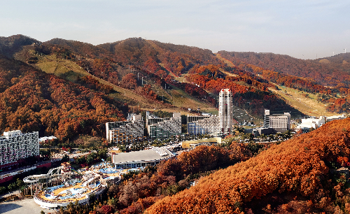 휘닉스 X 트립비토즈, 특별 기획전 실시