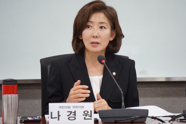 나경원 국회의원 (사진=의원실)