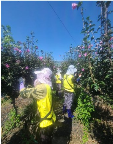 (사진제공=평택준법지원센터)