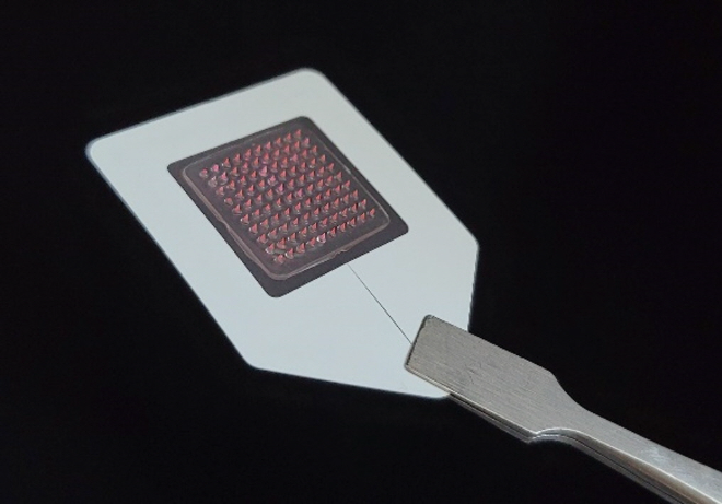 대웅제약, 생물의약품 용해성 마이크로니들 국내 첫 임상