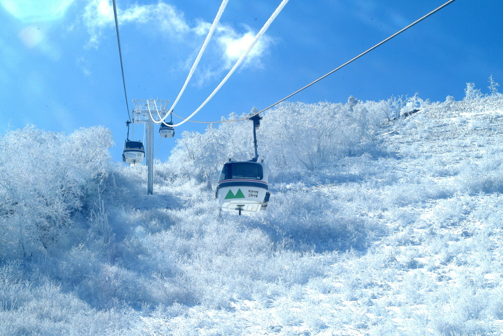 부영그룹 무주덕유산리조트, 관광곤도라 가을·겨울 주말 예약제 시행