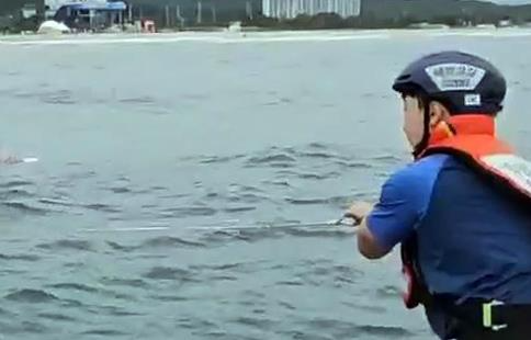 자료=연합 기사와 무관