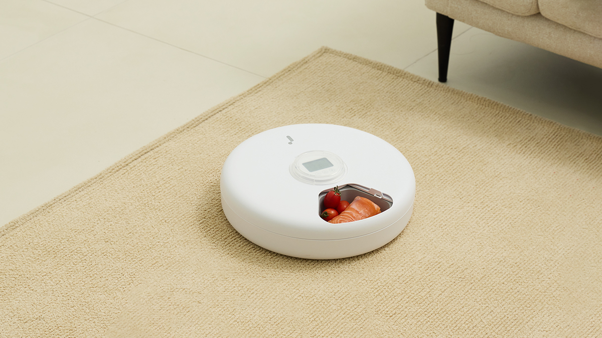 주연테크 반려동물 올인원 자동급식기, 와디즈 펀딩 오픈한다