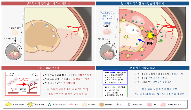 난소 조직을 이용한 현 가임력 보존 기술의 한계점과 연구진의 기술 개발에 대한 모식도. 사진=분당서울대병원