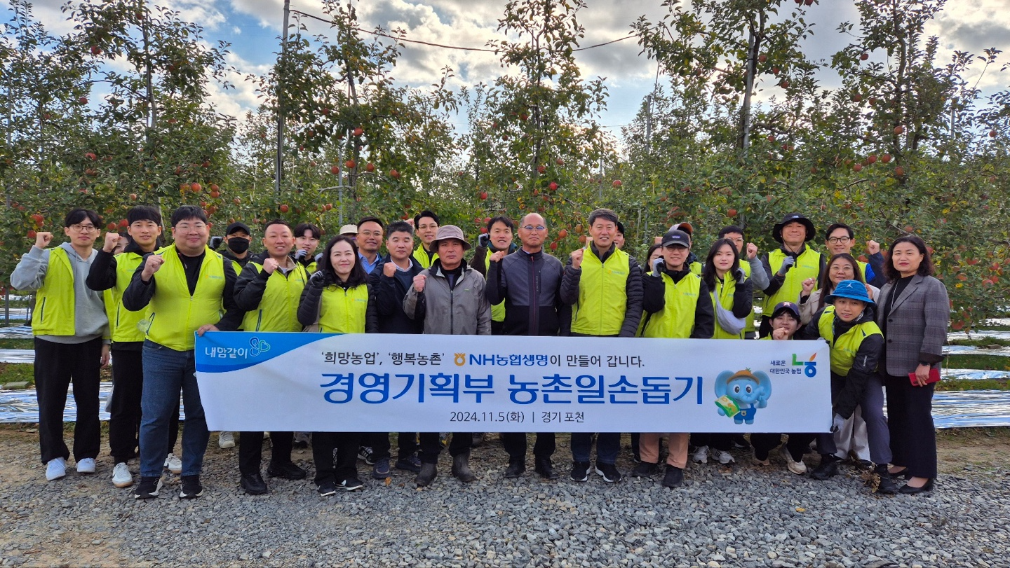 NH농협생명 경영기획부문, 포천 농촌일손돕기 실시