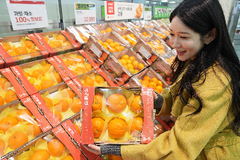 롯데마트∙슈퍼, ‘내륙 감귤’ 운영 확대