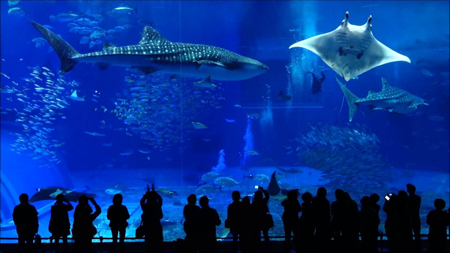 노랑풍선, 휴양지 오키나와 여행 상품 선보여