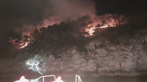 남해 무인도서 산불 발생 10시간 만에 진화... 낚시객 부주의 추정