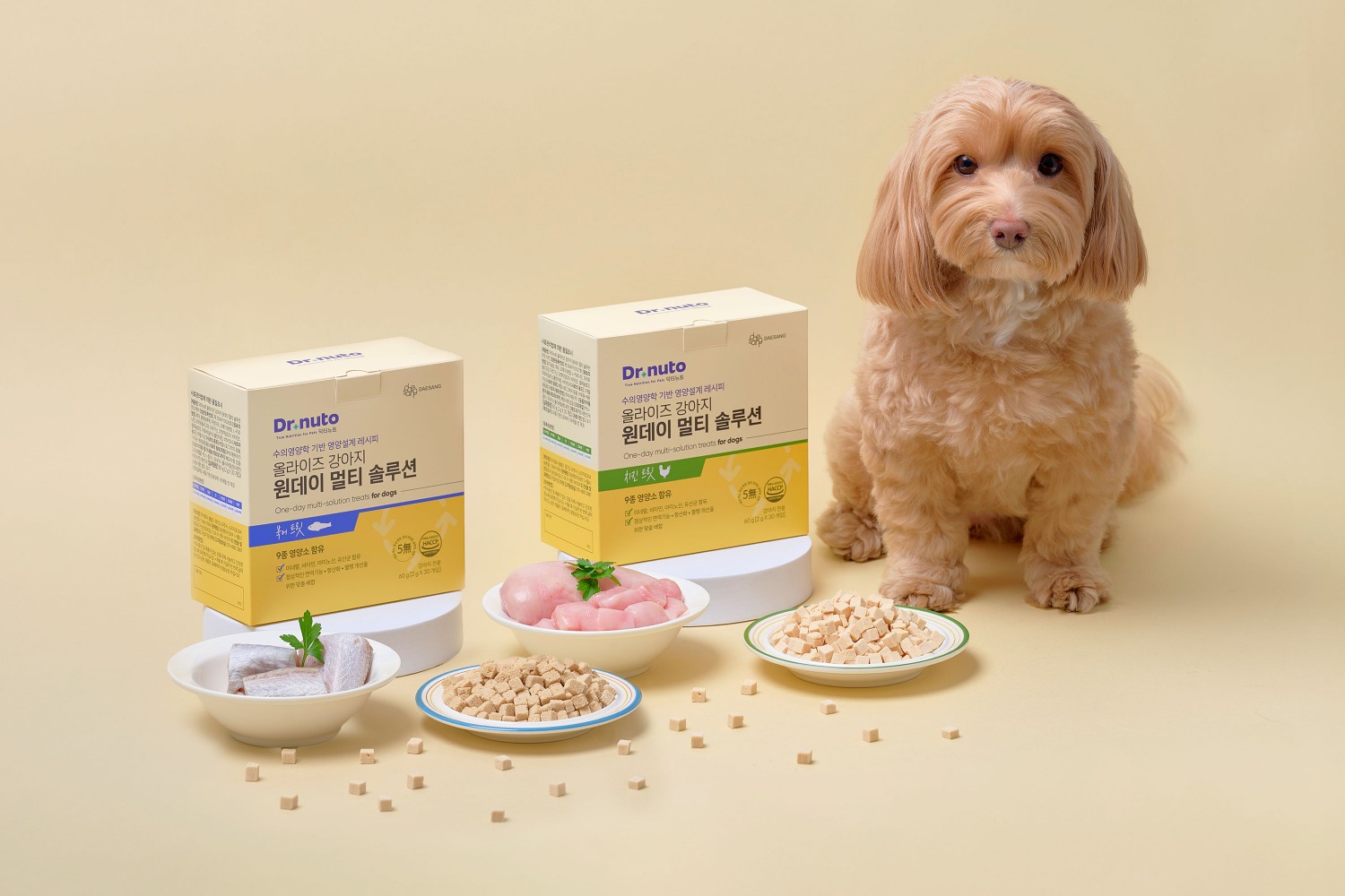 대상펫라이프 닥터뉴토, ‘올라이즈 원데이 멀티 솔루션’ 선보여