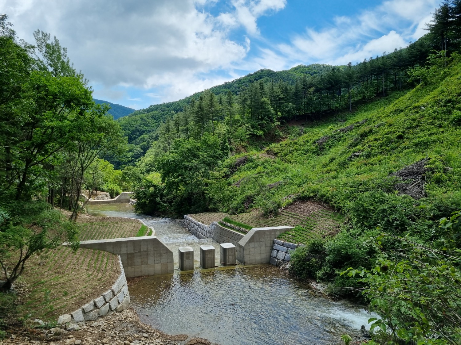 산사태방지 사방댐 조성