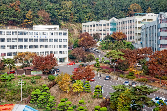 한국국제대학교.(사진=연합뉴스)