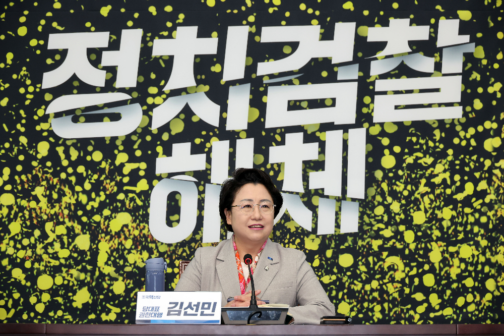 김선민 당 대표 권한대행.(사진=연합뉴스)