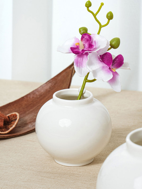 아성다이소, ‘설 명절용품 기획전’ 실시