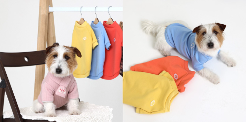 쌍방울, 트라이 반려견용 내의∙맨투맨 선보여