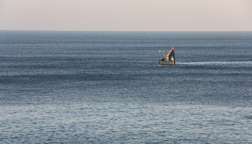 영덕 바다(사진=연합뉴스)