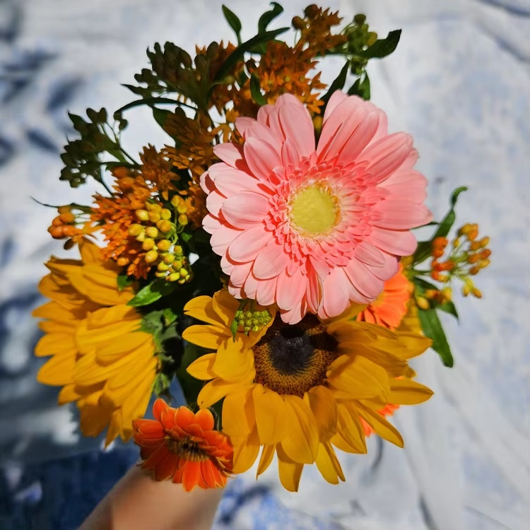 알리익스프레스, ‘생화 및 꽃다발’ 판매